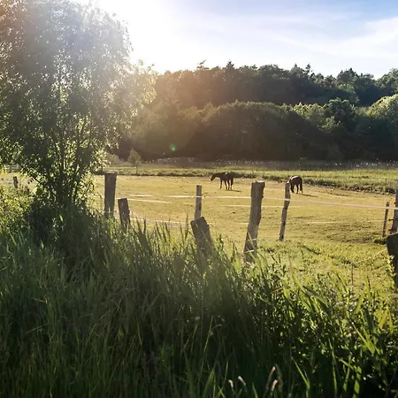 De Ole School Ferienapartments Koje No 20 - Gemuetlicher Rueckzugsort In דירה *